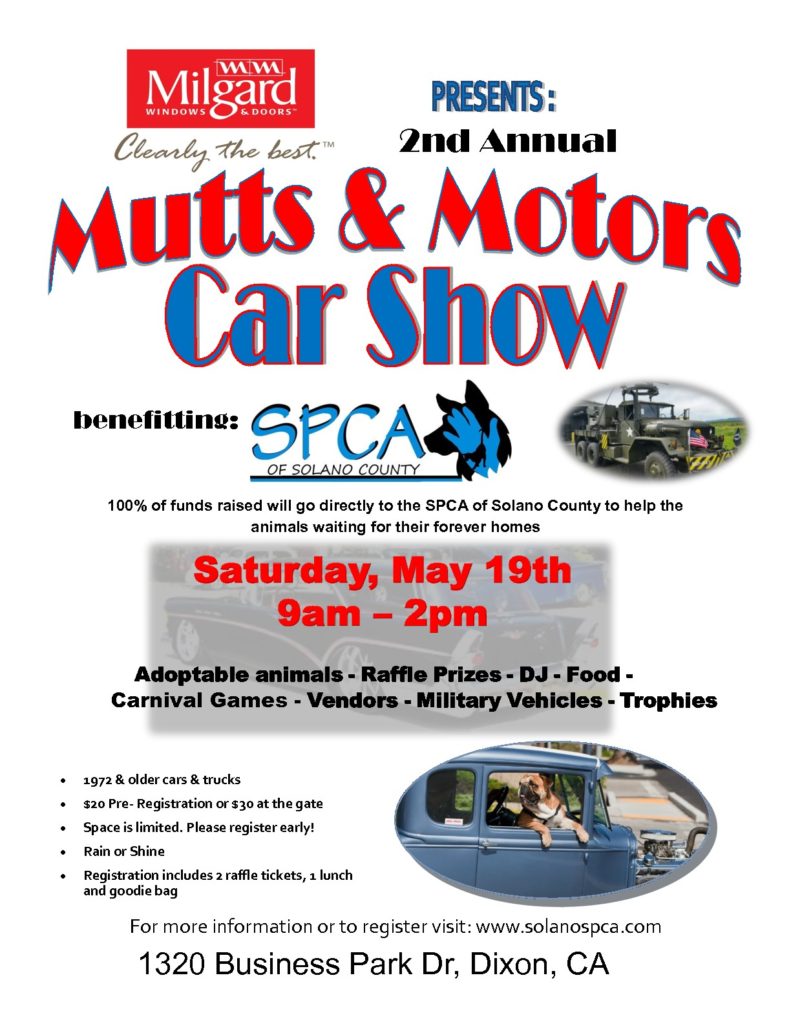 Mutts & Motors Car Show