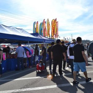 Pomona Swap Meet