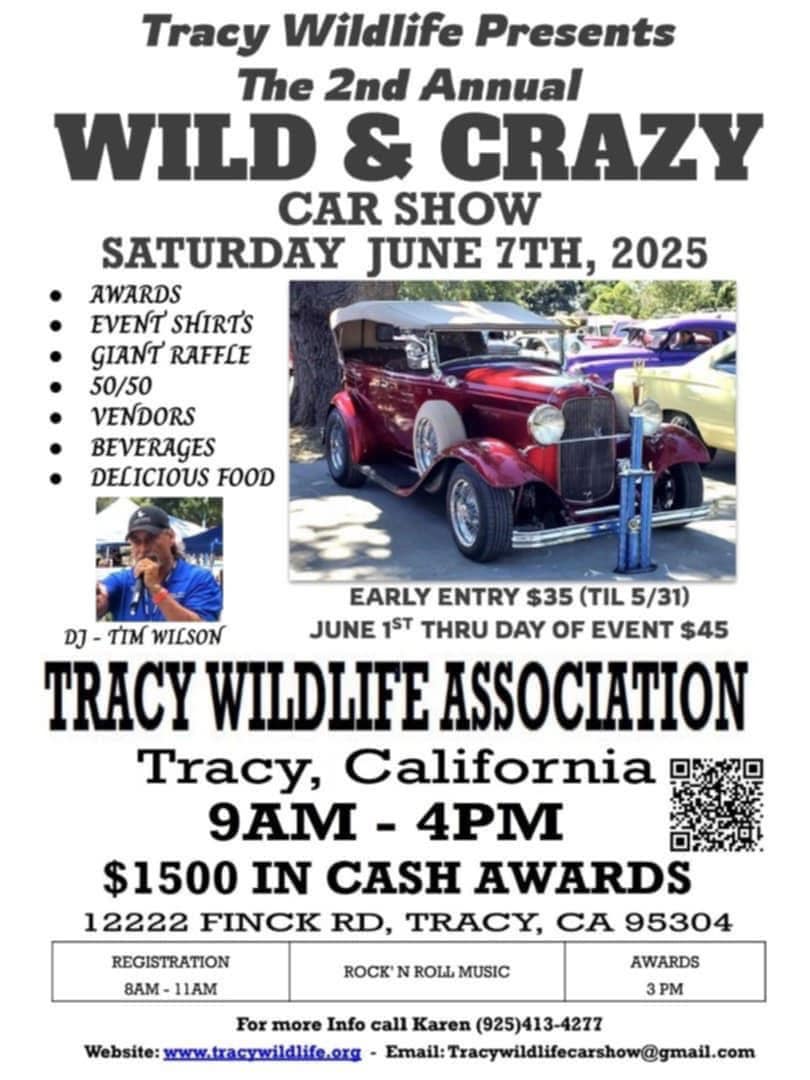 Wild & Crazy Car Show