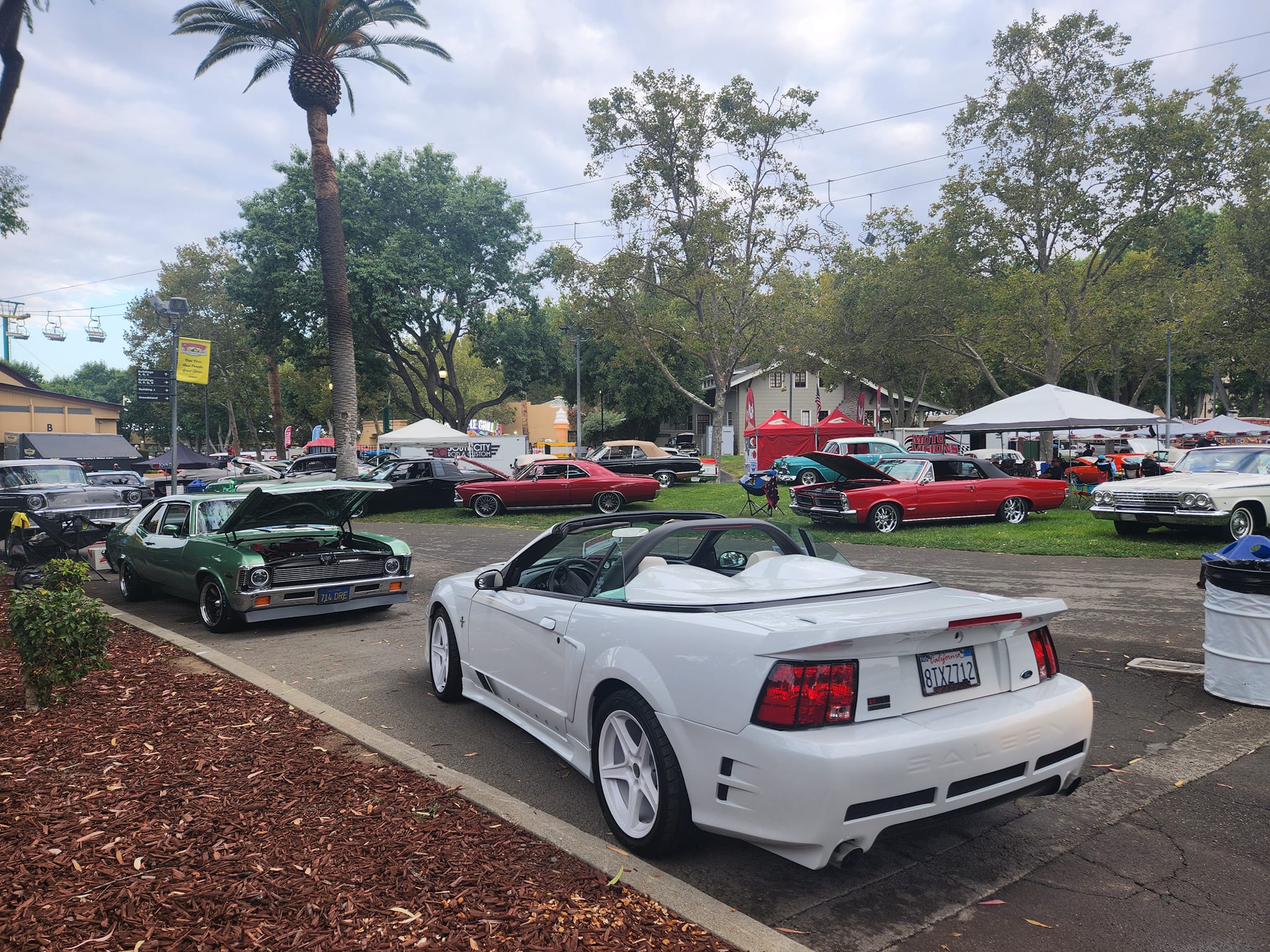 Mustang Car Show